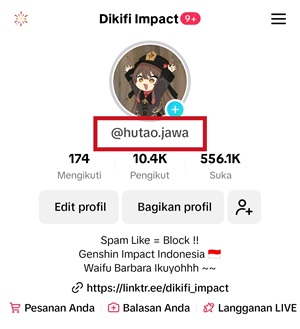 Username Tiktok